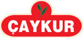 CAYKUR