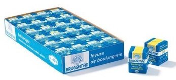 BRUGGEMAN BAKKERGIST 24X42 GR