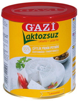 GAZI LAKTOZSUZ PEYNIR 55% 6X500 GR