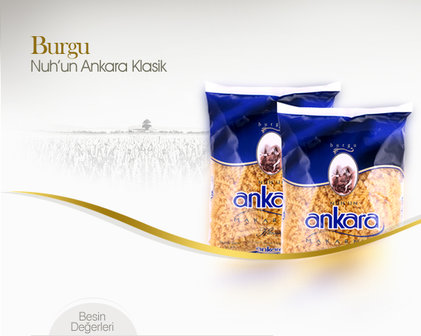 ANKARA BURGU MACARONI 20X500 GR