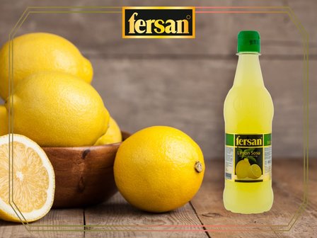 FERSAN LIMON SOSU 12X500 ML