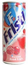 FRISTI 24X250 ML