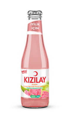 KIZILAY MADEN SUYU GUAVA 24X200 ML