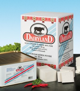 SUTDIYARI DAIRLAND FETA KAAS 40%  16 KG