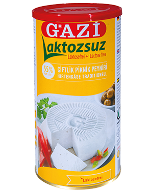 GAZI LAKTOZSUZ PEYNIR 55% 6X 800 GR