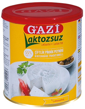 GAZI LACTOSEVRIJ KAAS 55% 6X500 GR