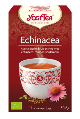 YOGI CAY ECHINACEA 6X17 ADET